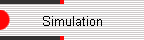 Simulation